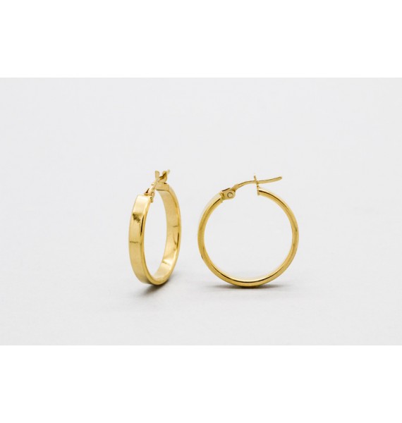 Pendientes de Aro en Oro Amarillo de 18 Quilates