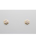 Pendientes con 0.65qt de Diamantes en Oro de 18 Quilates