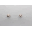 18Kt White Gold Diamond Stud Earrings