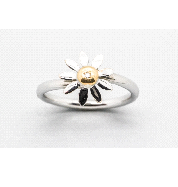 18kt White & Yellow Gold Diamond Ring