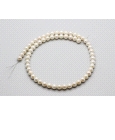 String of Fresh Water Akoya Pearls